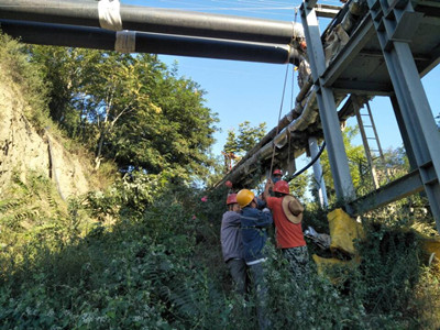 追趕超越，他們用行動爭做排頭兵