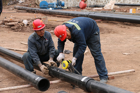 蹄疾步穩 追趕超越創佳績