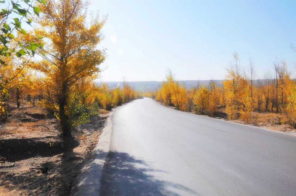 黃土鑄風(fēng)骨 秋風(fēng)唱大歌