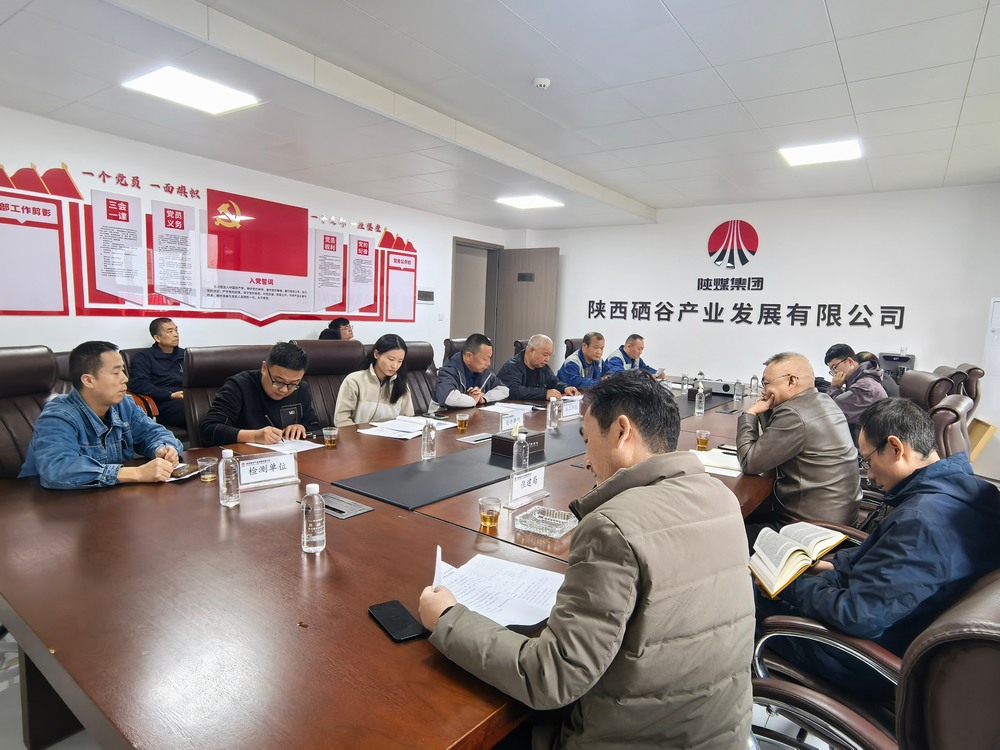 陜煤建設設計研究院:陜西硒谷產業集團漢濱水廠設施提升項目消防驗收圓滿成功